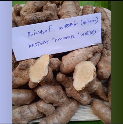 Kasthuri Manjal White